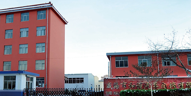 威海和谐汽车内饰公司概述工程塑料在汽车内饰上的应用